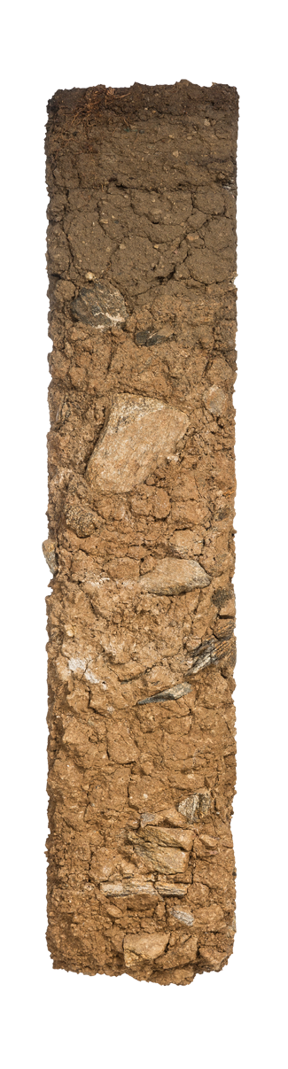 Bodenprofil Achleiten