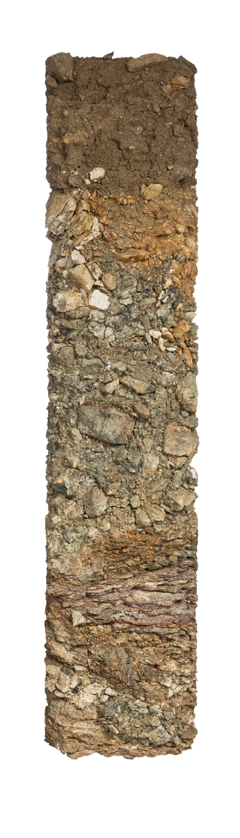 Bodenprofil Vorderseiber