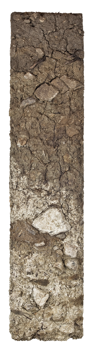 Bodenprofil Weitenberg